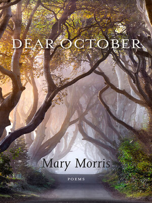 cover image of Dear October